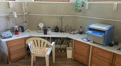 lab4